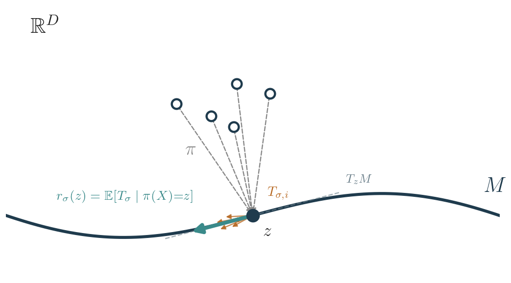 Diagram of noisy observations in a normal fiber over z, with scattered tangent DSM targets averaged into the Rao-Blackwellized target